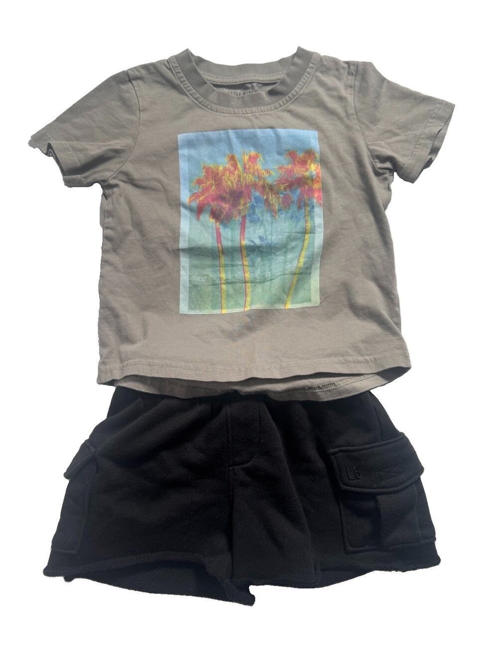 Little Bipsy 2 Piece Outfit Set 2-3T Palm Tree Graphic Tee Cargo Shorts